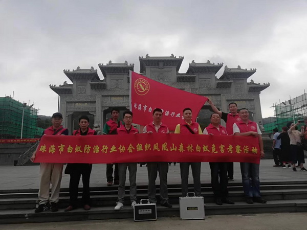 �����麣�а�ρ�f(xi��)��(hu��)-�P��ɽɭ�ְ�ρΣ��������(d��ng)